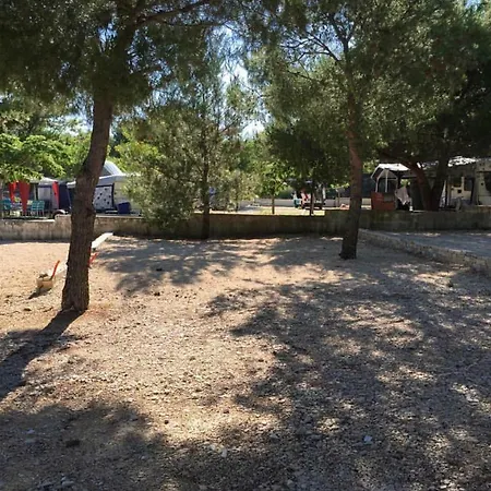 Kamp Kamp Plava Laguna, Drage